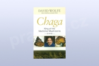 Chaga: King of the Medicinal Mushrooms, David Wolfe