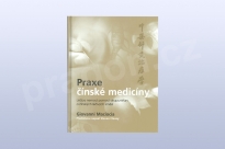 Praxe čínské medicíny, Giovanni Maciocia