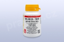 WLH8.9 - ganmai dazao tang - pian/tablety