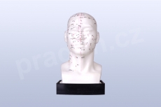 Akupunkturní model - hlava 21cm - akumodel